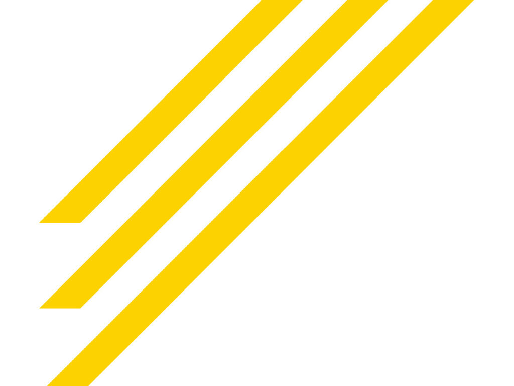 Schmidt-Strahl Favicon